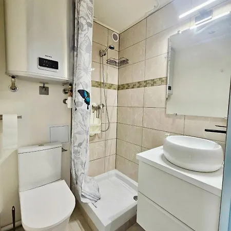 A 100m De La A5, Etage 1 Appartement